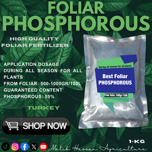 Hi-Phosphorous| 1kg| Foliar Grade