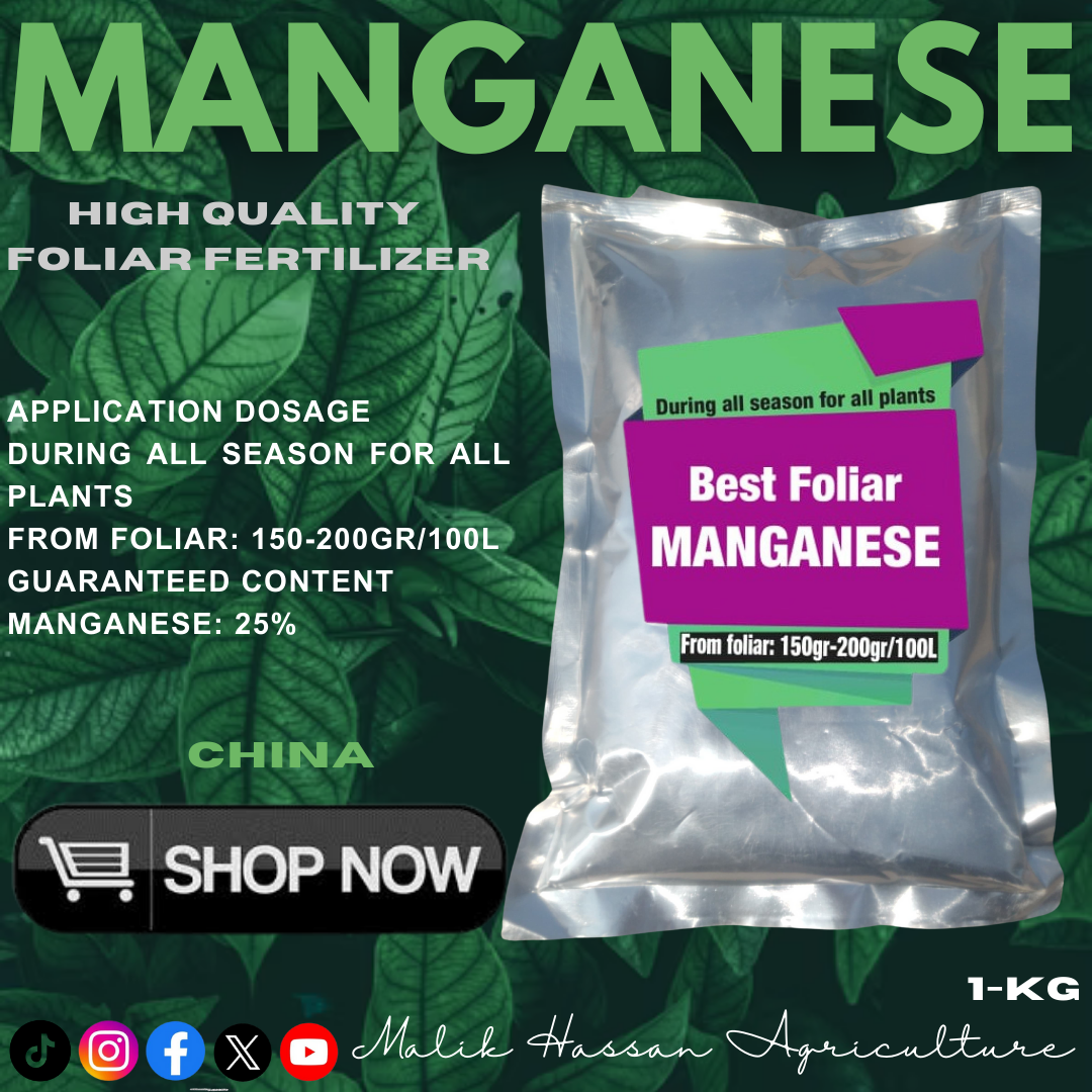 Manganese Sulphate| 1kg| China| Foliar Grade