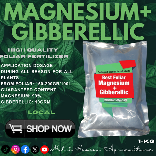 Magnesium + Gibberellic acid| 1kg| Foliar Grade