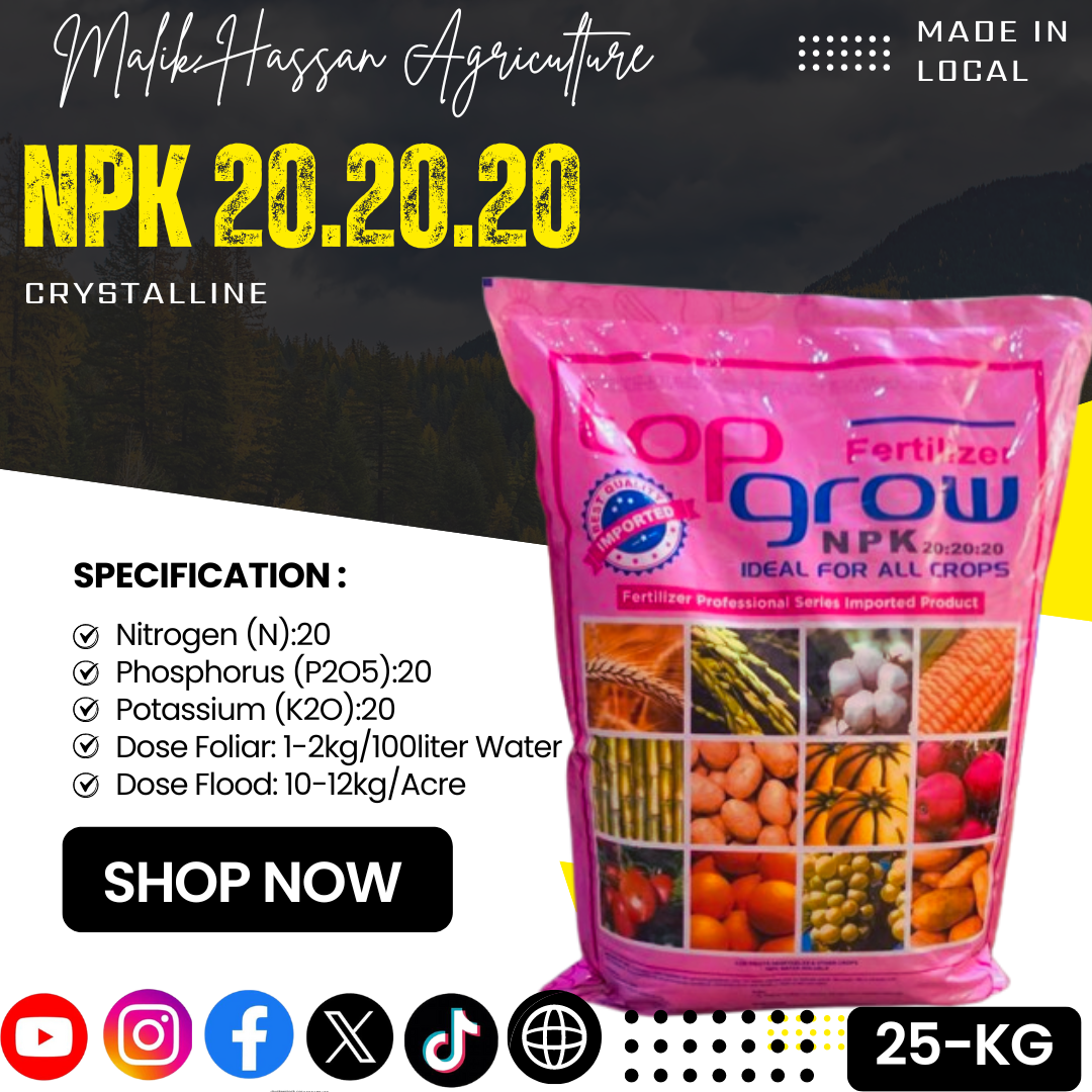 NPK 20-20-20| 25kg| Local