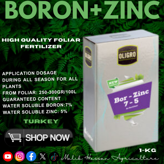 Boron Zinc 7-5| 1kg| Turkey