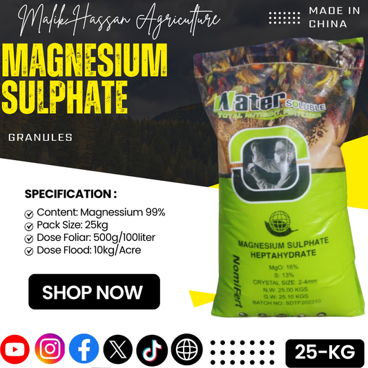 Magnesium Sulphate| 25kg| China