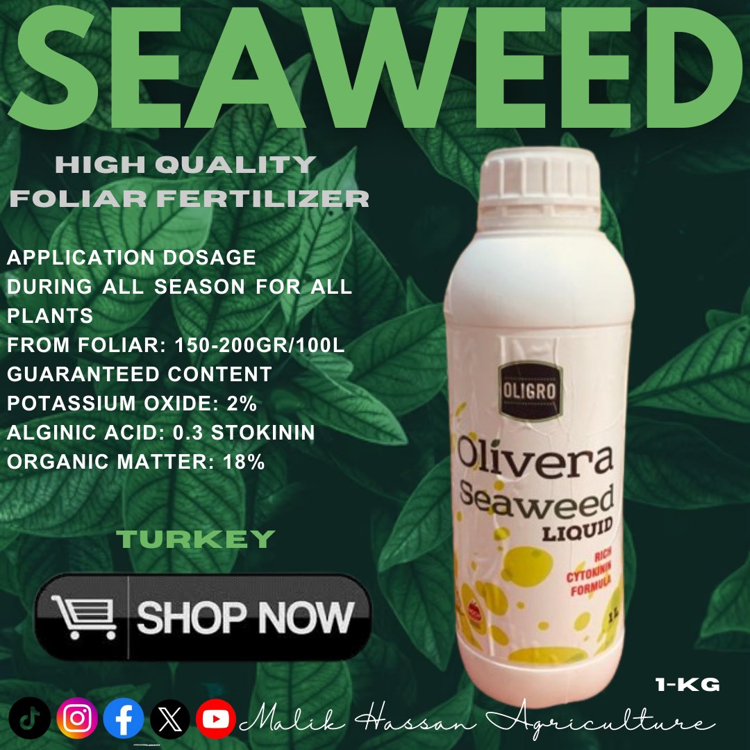 Seaweed| 1Lter| Turkey