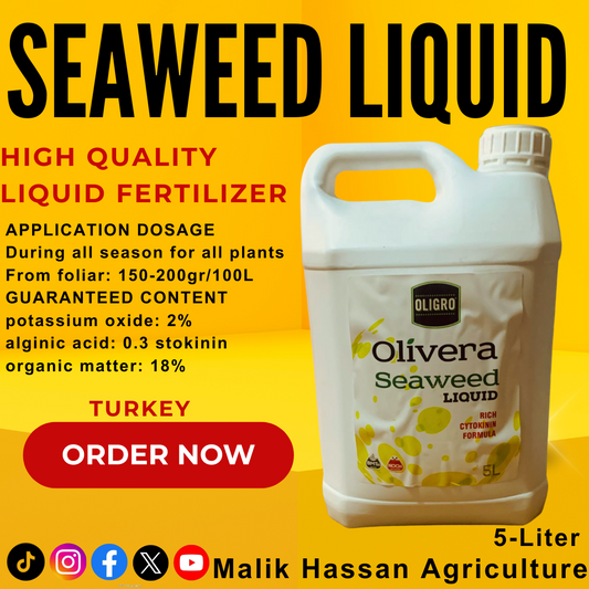 Seaweed| 5Lter| Turkey