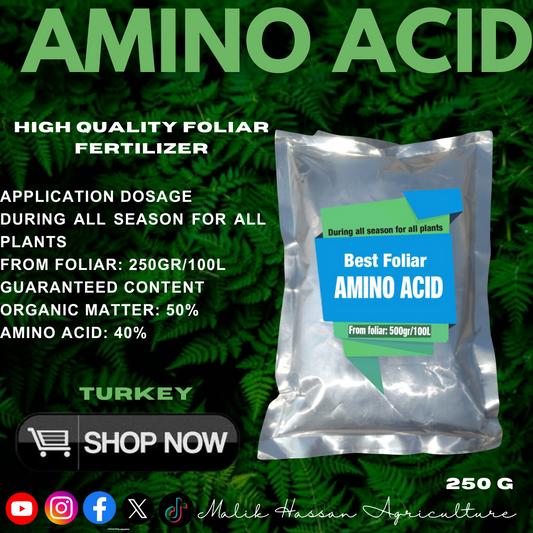 Amino Acid Powder| 0.25kg Bag| Turkey