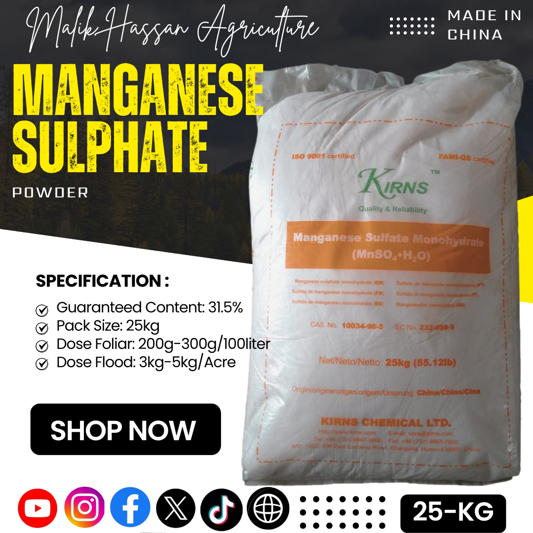 Manganese Sulphate| 25kg| China