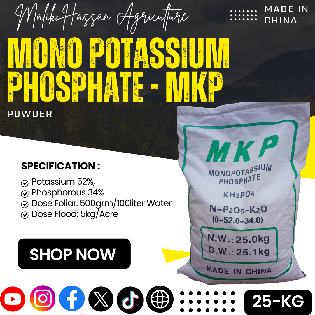 Mono Potassium Phosphate MKP 0:52:34| 25kg| China