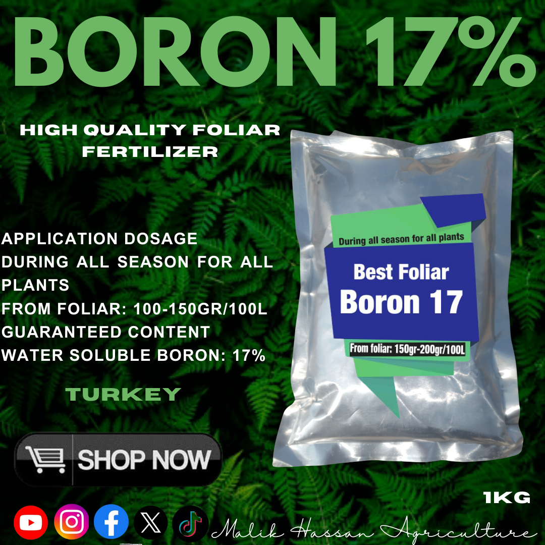 Boron 17%| 1kg| Turkey