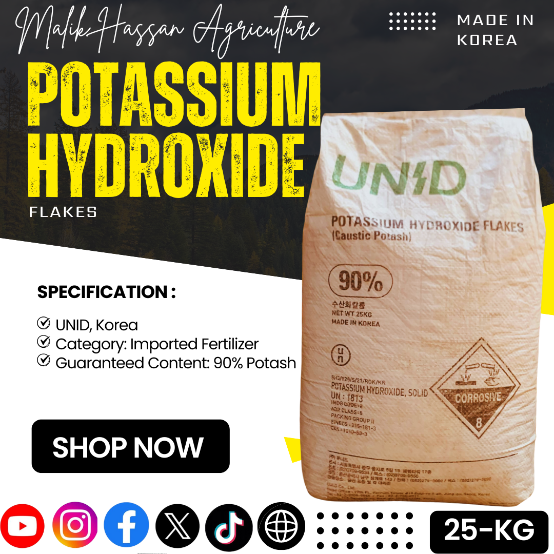 Potassium Hydroxide| 25kg| China