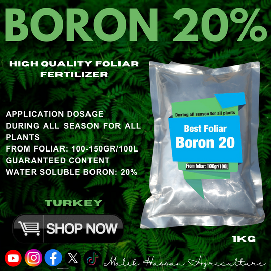 Boron 20%| 1kg| Turkey