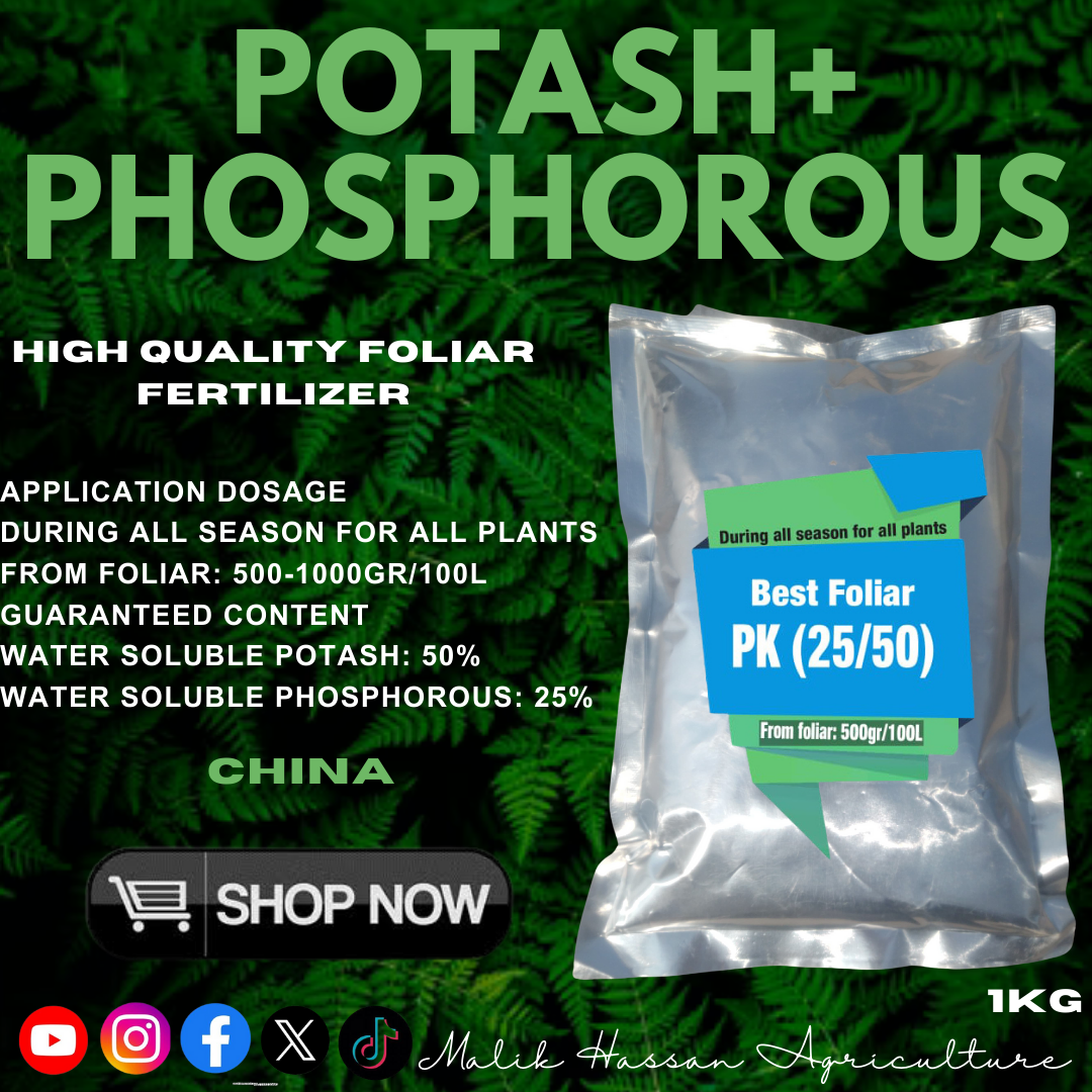 Potassium Phosphate P:K 25:50| 1kg| Foliar Grade