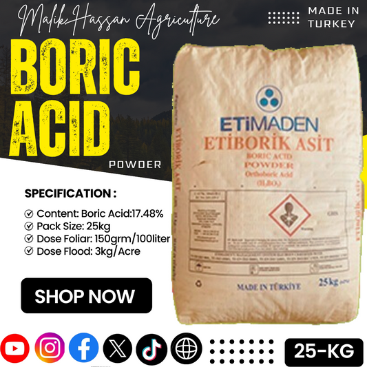 Boric Acid| 25kg| Turkey