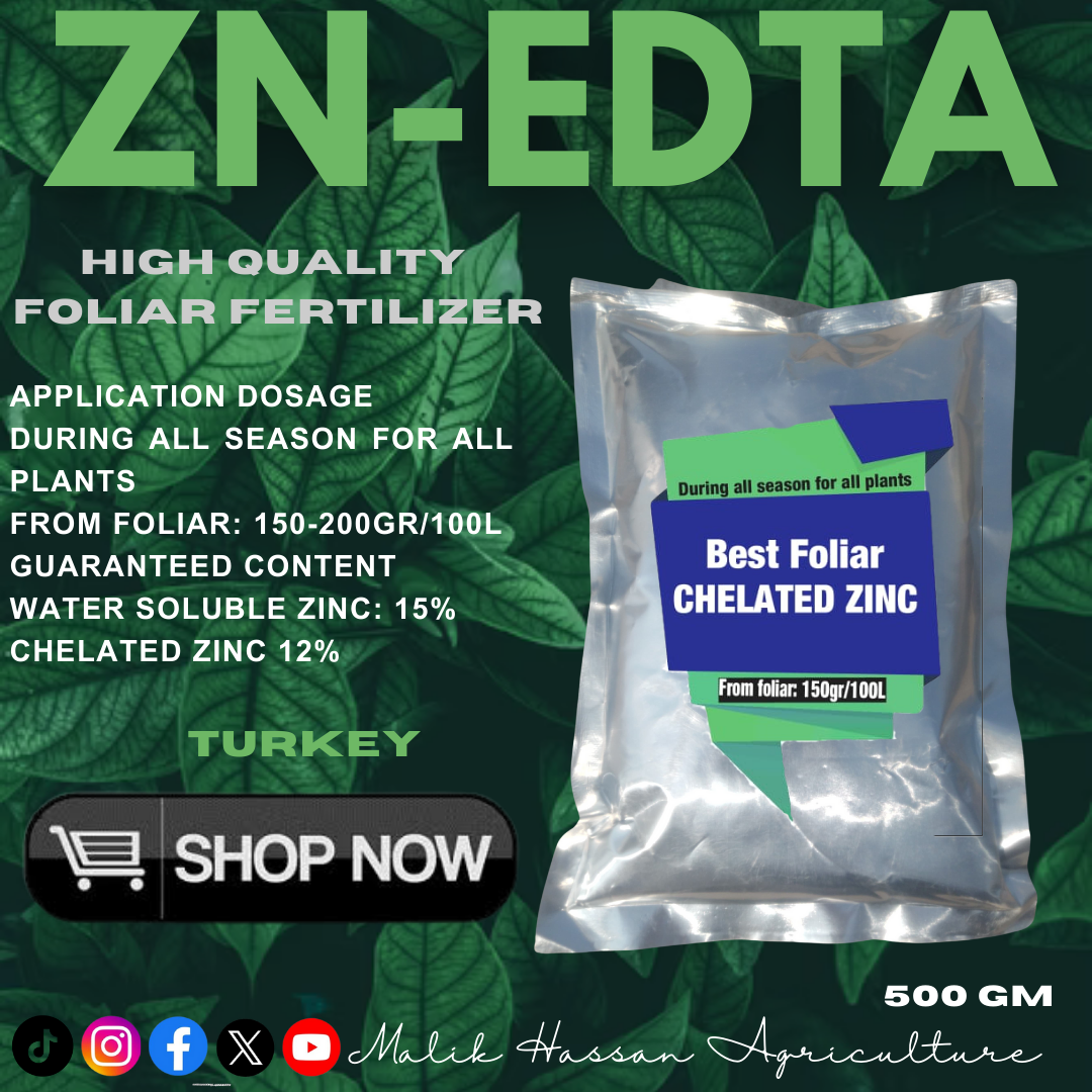 Zn EDTA| 500g| Turkey