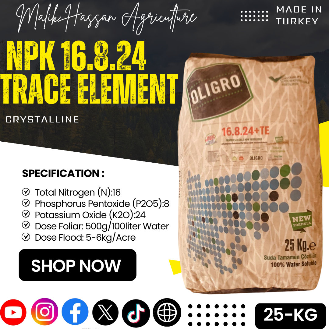 NPK 16-8-24+TE| 25kg| Turkey