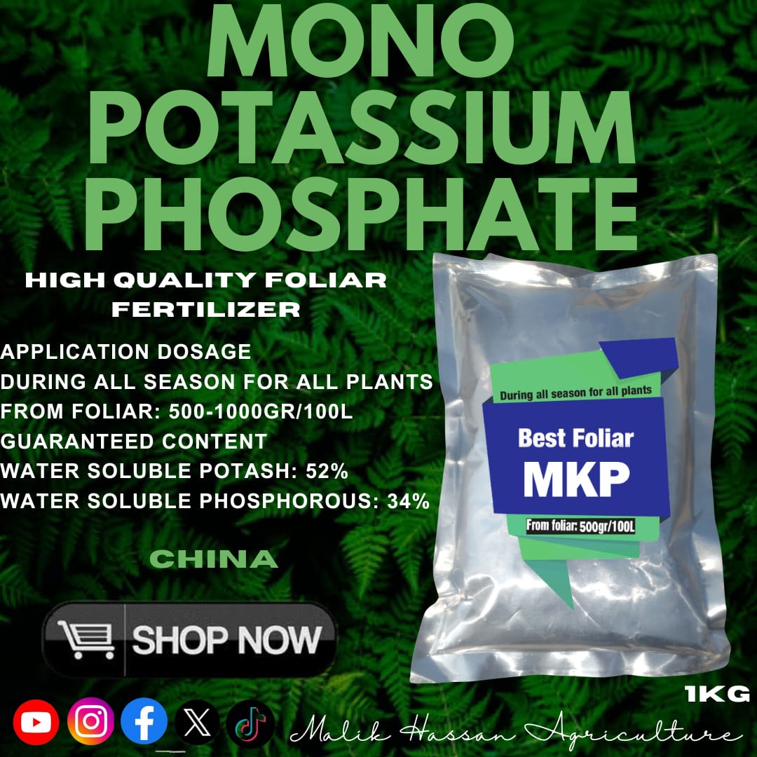 Mono Potassium Phosphate K:P| 1kg| Foliar Grade