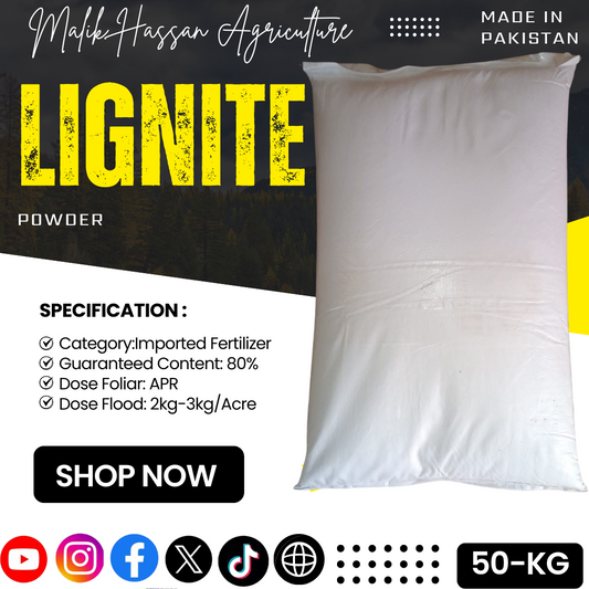 Lignite 65+|25kg